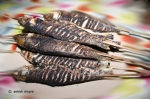 Khorikat diya maas: fish grilled on bamboo sticks